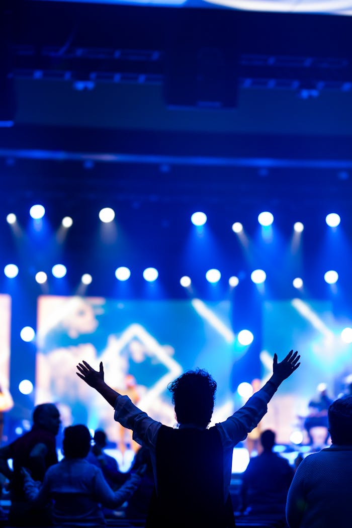 journey A lively concert scene with an audience member silhouetted against bright stage lights.